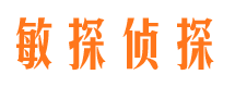 平舆敏探私家侦探公司